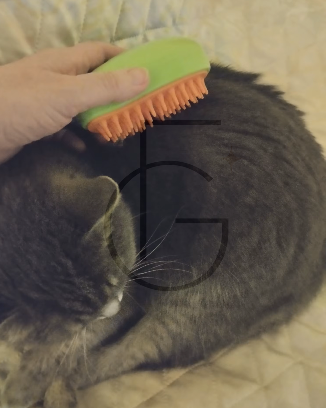 CEPILLO DE VAPOR 3 EN 1 PARA MASCOTAS